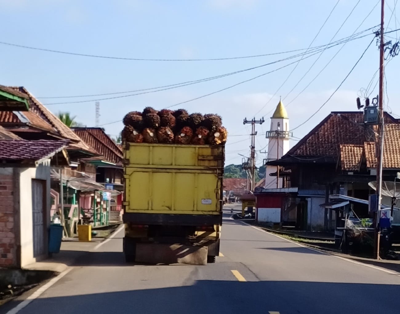 Truk Muatan Sawit Tanpa Pengaman Dikeluhkan Warga Sanga Desa