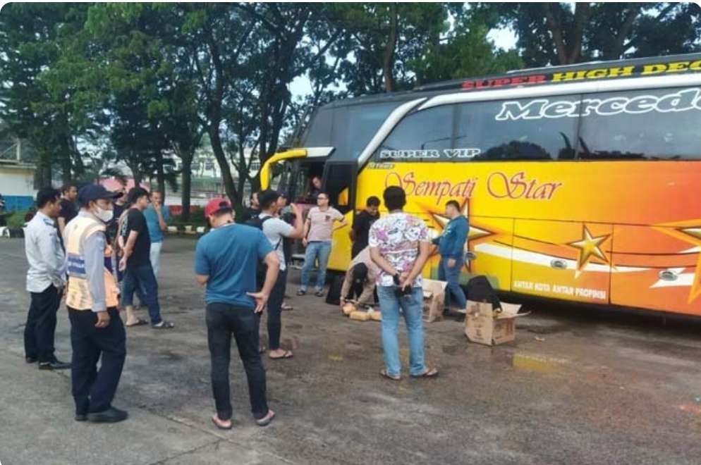 Ganja Sebanyak 30 Kg Asal Aceh Diamankan Polisi di Palembang, Dibawa Kurir Naik Bus AKAP Tujuan Bandung 