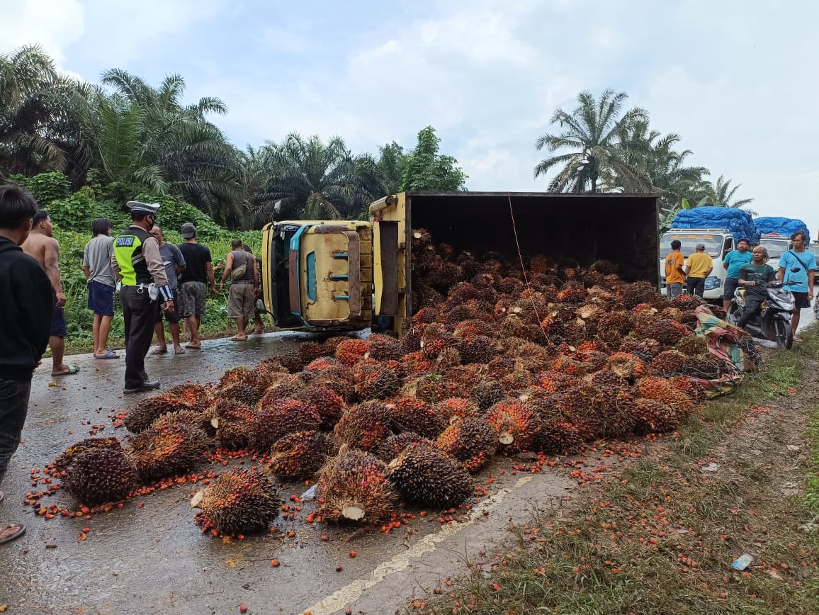 Truk Bawa Sawit Terbalik, Jalintim Kembali Macet