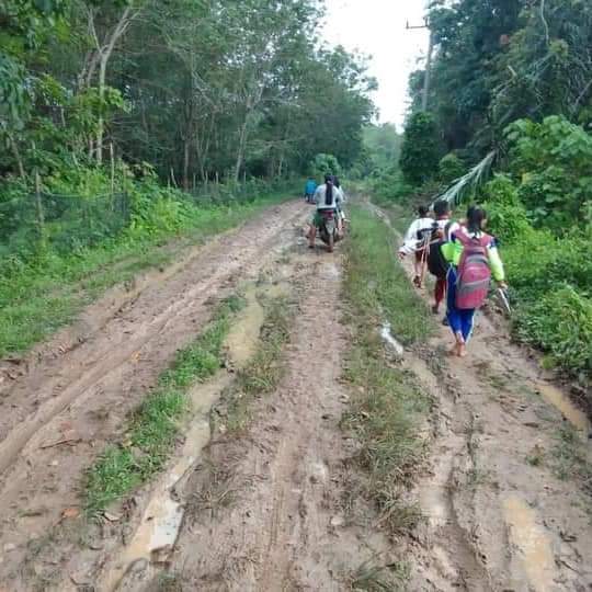 Jalan Desa Rusak, Warga Desa Tanjung Agung Timur Berharap Perbaikan