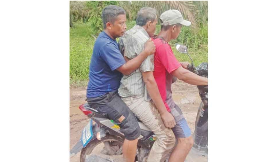 Tragis, 2 Warga Air Sugihan Diserang Gajah Liar, Satu Dirujuk ke RS Charitas