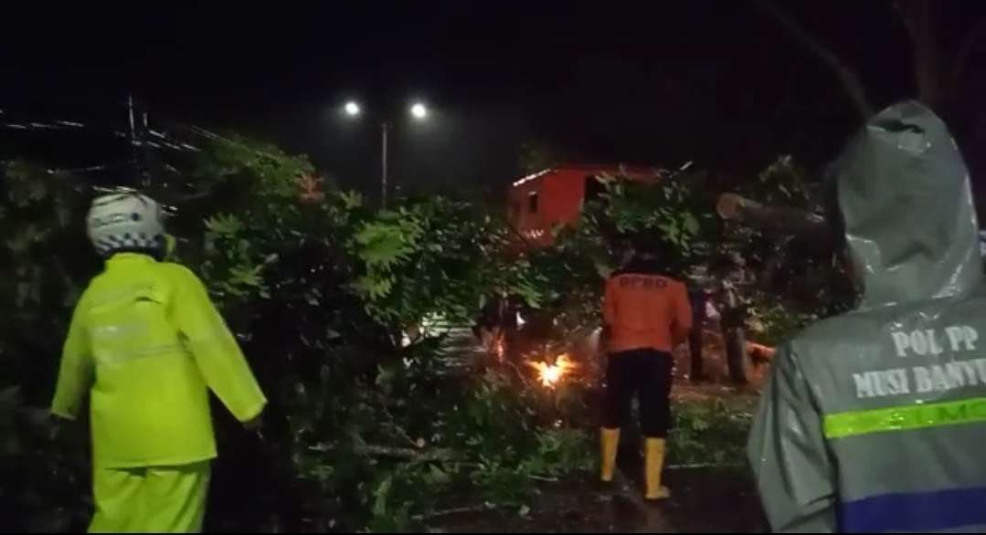 Hujan Deras Sebabkan Pohon Tumbang, Tutupi Jalan Protokol Kota Sekayu, Tim Satlantas Bantu Evakuasi 