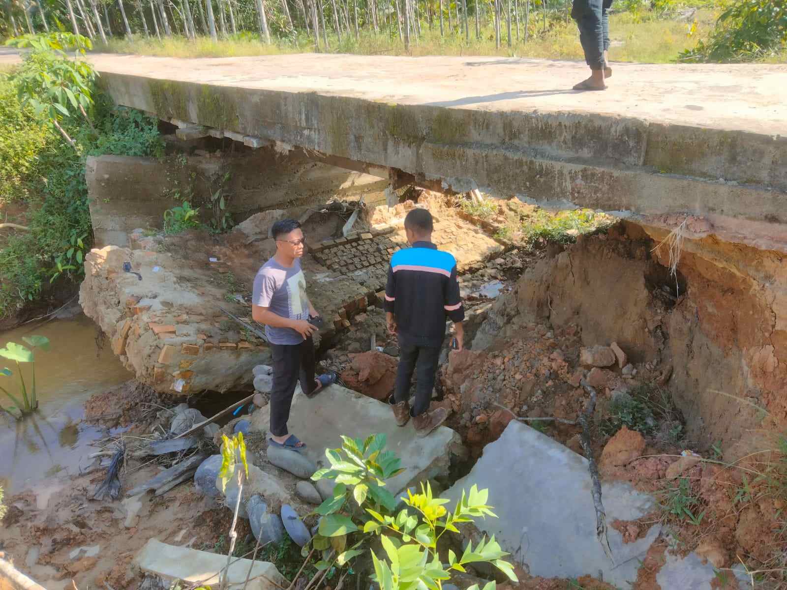 3 Unit Jembatan di Desa Mulyo Rejo Menghawatirkan, Batasi Kendaraan Yang Melintas