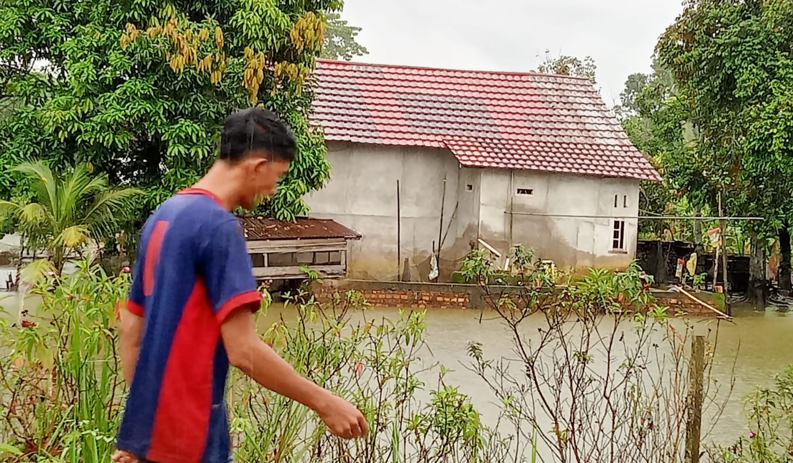 Hujan Deras, Warga di Kota Sekayu Khawatir Banjir Jilid II