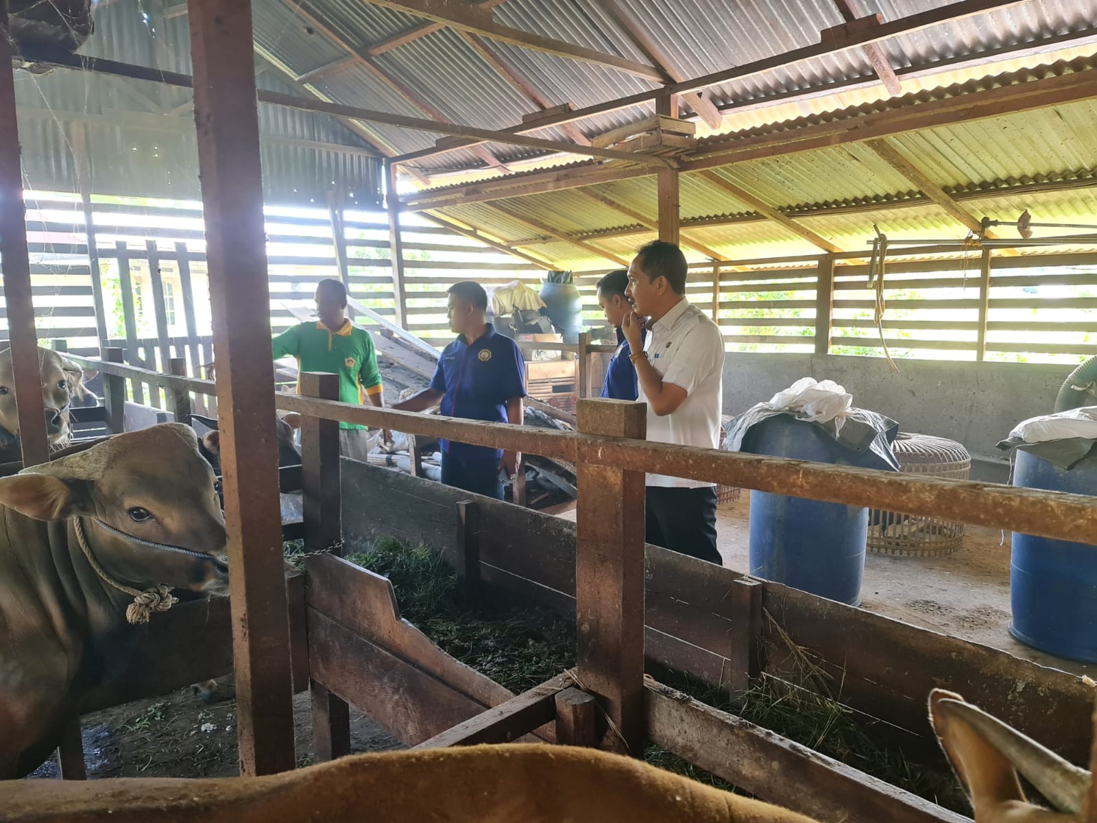 Pastikan Hewan untuk Kurban Sehat Jelang Idul Adha, Dinas TPHP Periksa Kesehatan