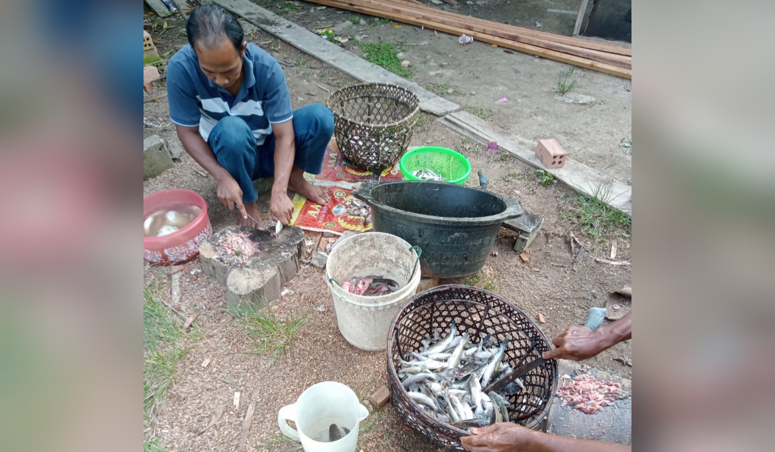 Harga Ikan Sungai Terjun Bebas, Ini Alternatif yang Dilakukan Pedagang untuk Meningkatkan Pendapatan