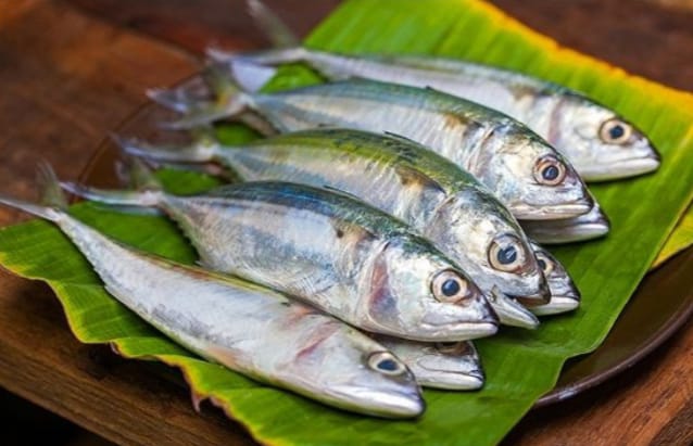 Ternyata Ikan Kembung Memiliki Segudang Manfaat Bagi Kesehatan