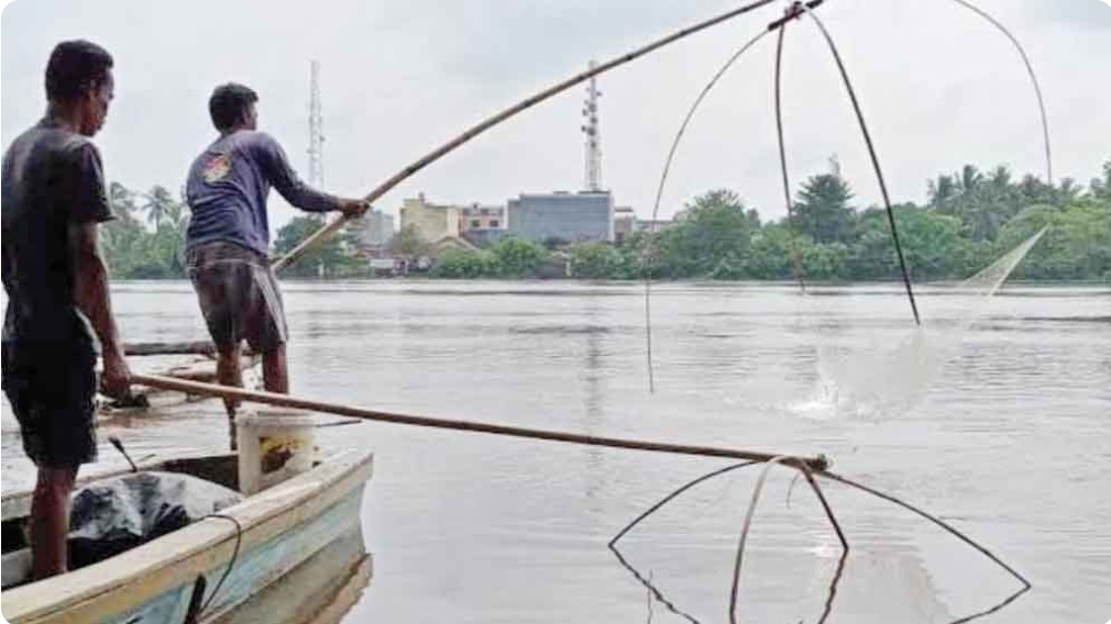 Sisi Lain Banjir di Muba, Warga Ramai Nangkul Ikan Mudik