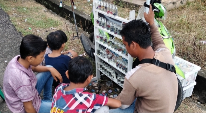 Jualan Ikan Cupang, Ternyata Bisa Beromset Jutaaan Rupiah Loh!