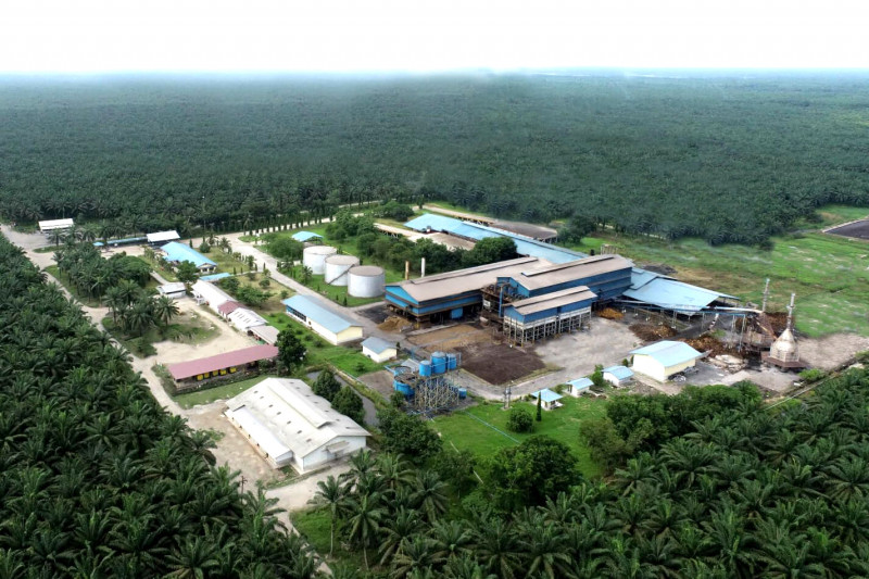 PT Cisadane Sawit Raya Tbk (CSRA) Meresmikan Pabrik Pengolahan Kelapa Sawit Kedua di Sumatera Utara