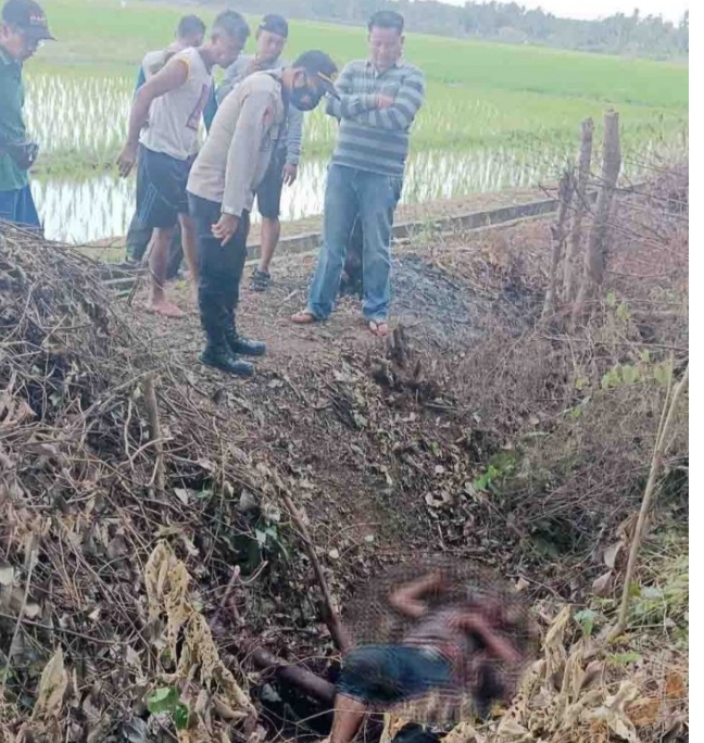 Heboh, Ditemukan Mayat di Pinggir Persawahan,  Kondisi Mengerikan.