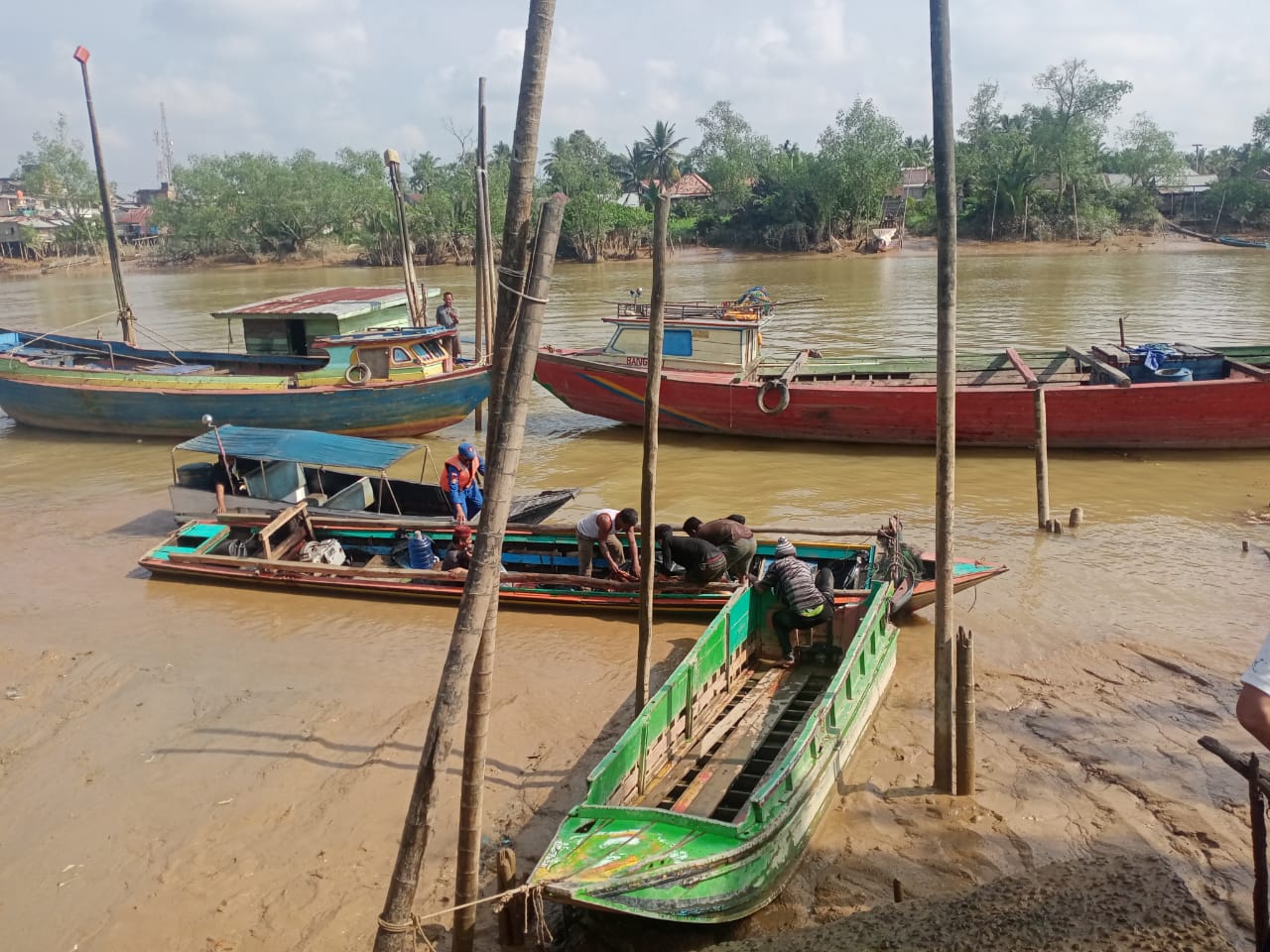 Buaya Makin Menghawatirkan, Minta Perhatian BKSDA