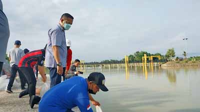 Ikan Nila Merah dan Lele Albino Percantik Taman Air Serasan Sekate