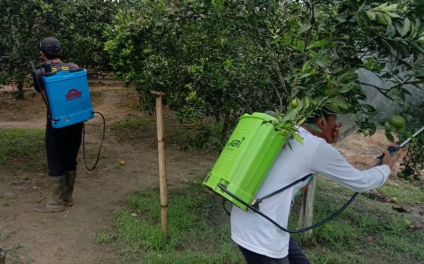 Pemdes Berlian Makmur Dukung Keberadaan Wisata Buah