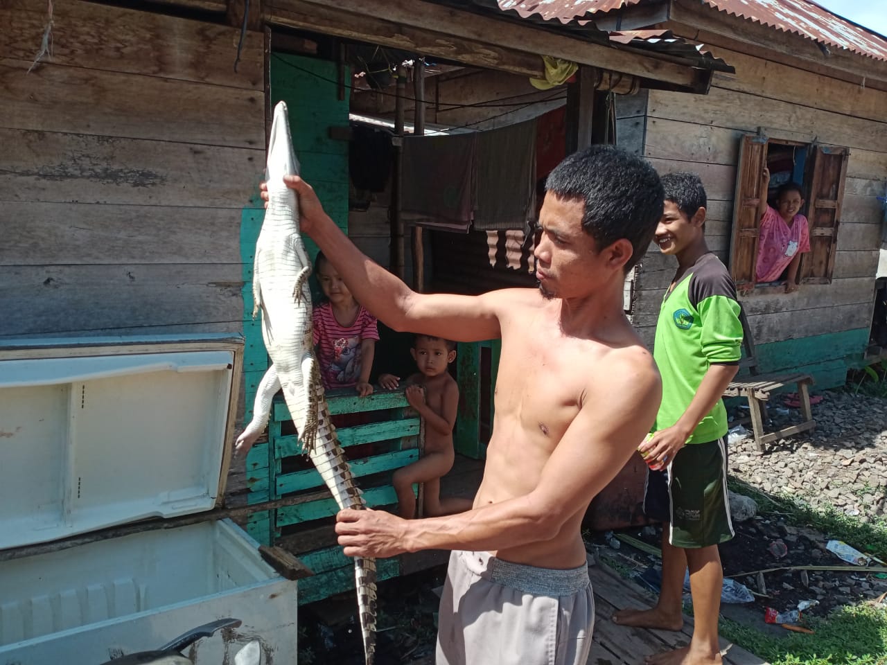 Nangkap Ikan, Nelayan Pinang Banjar Dapat Anak Buaya