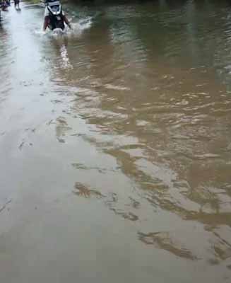 Jalan Poros Desa Sridamai Digenangi Banjir