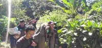 Temukan Ladang Ganja di Rimba Candi