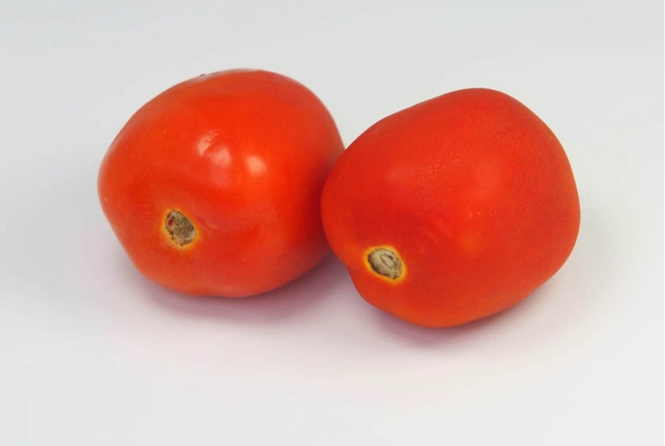 6 Manfaat Sehat Tomat yang Tak Terduga, Nomor 1 Bikin Jantung Bahagia