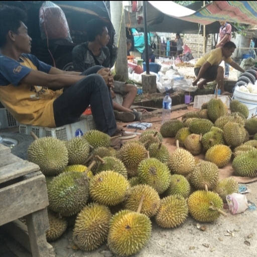 Harga Tinggi, Peminat Tetap Ramai