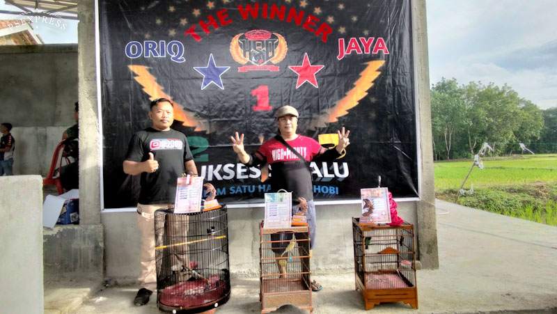 Ratusan Kicau Mania Meriahkan Launching Gantangan Ngulak Raya