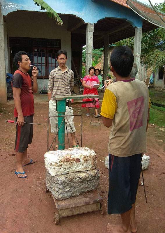 Cuaca Buruk, Kandungan Air Tinggi,  Petani Karet Masih Bernafas Lega