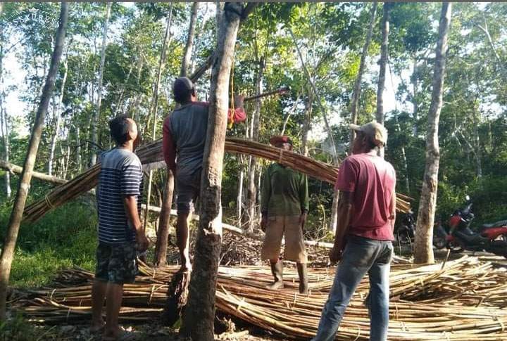 Rotan Sanga Desa, Dikirim ke Pulau Jawa