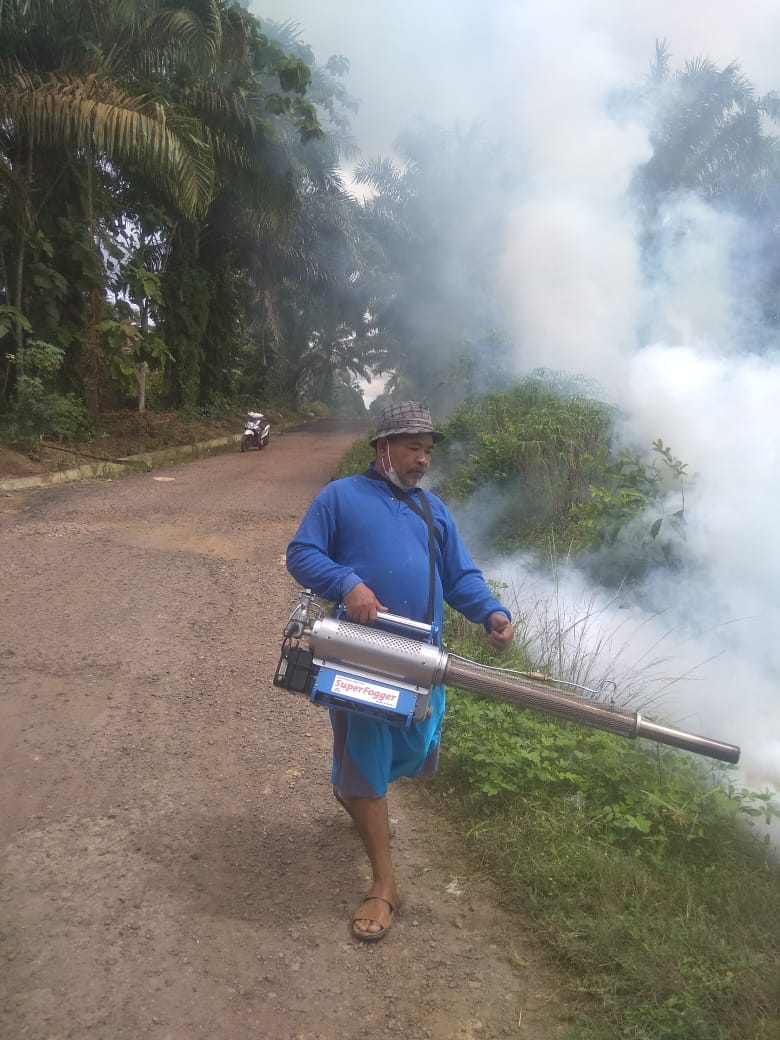 Cegah Penyakit DBD, Pemdes Mekar Jadi Lakukan Fogging