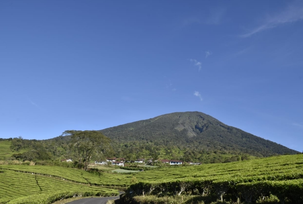 Gunung Api Dempo Level Waspada, BPBD Siapkan Jalur Evakuasi dan Titik Kumpul Warga