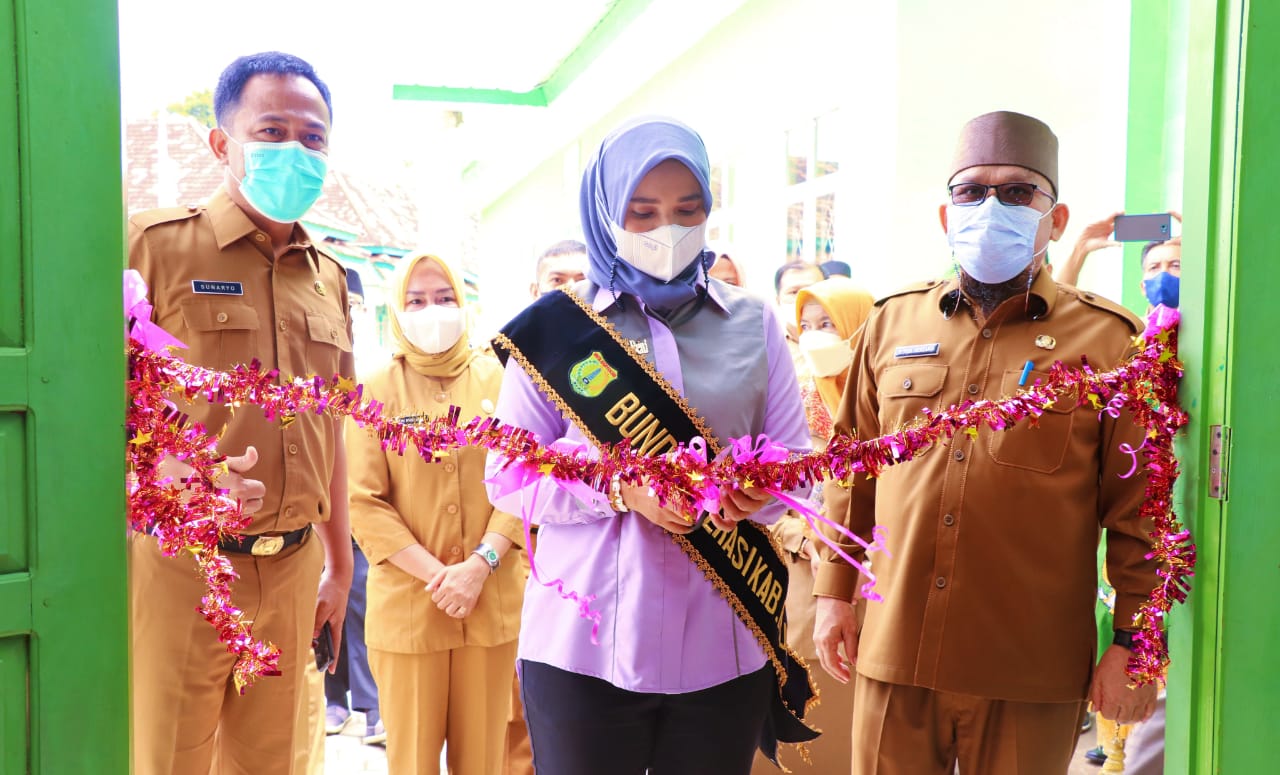 Bunda Literasi Muba Susy Beni Ajak Orang Tua Tanamkan Budaya Literasi Sejak Dini