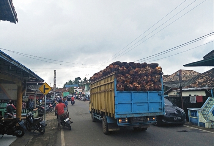 Keluhkan Angkutan TBS Tanpa Jaring Pengaman