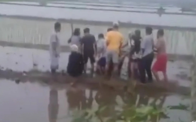 Video Viral Warga Menangkap Dua Orang di Tengah Sawah, Begini Kata Polisi