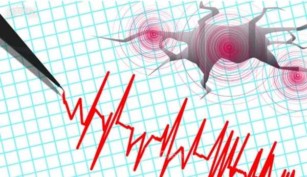 Gempa 6,2 Magnitudo Guncang Maluku Barat Daya, BNPB Keluarkan Imbauan Waspada