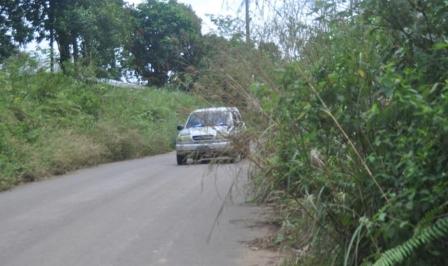 Halangi Jarak Pandang Pengendara