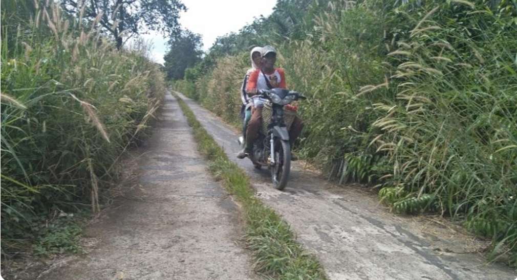 Hampir Tertutup Oleh Rumput Liar, Jalan di Kelurahan Ngulak Ini Butuh Pembersihan