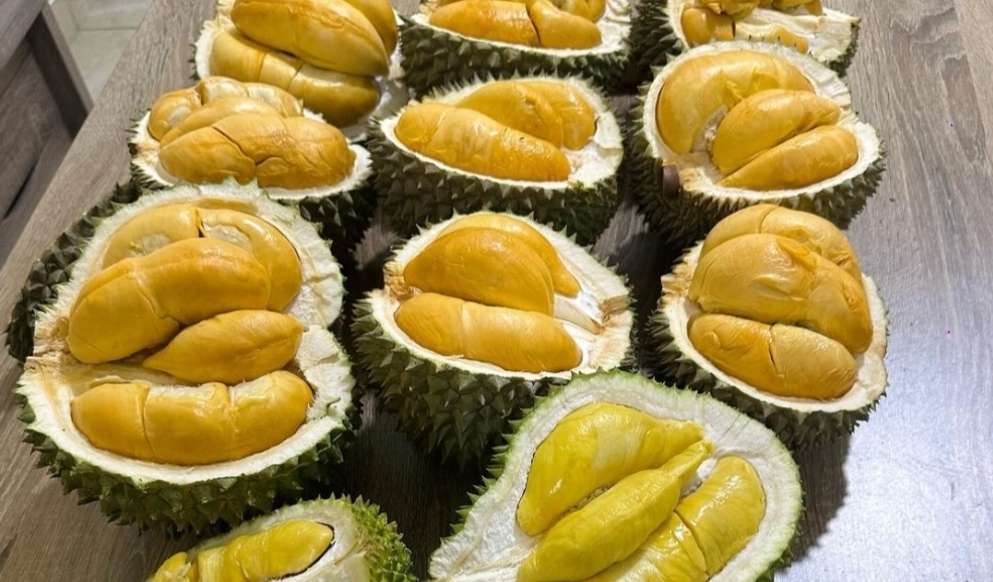 Viral, Pria di Banyumas Meninggal, Usai Habiskan 5 Buah Durian