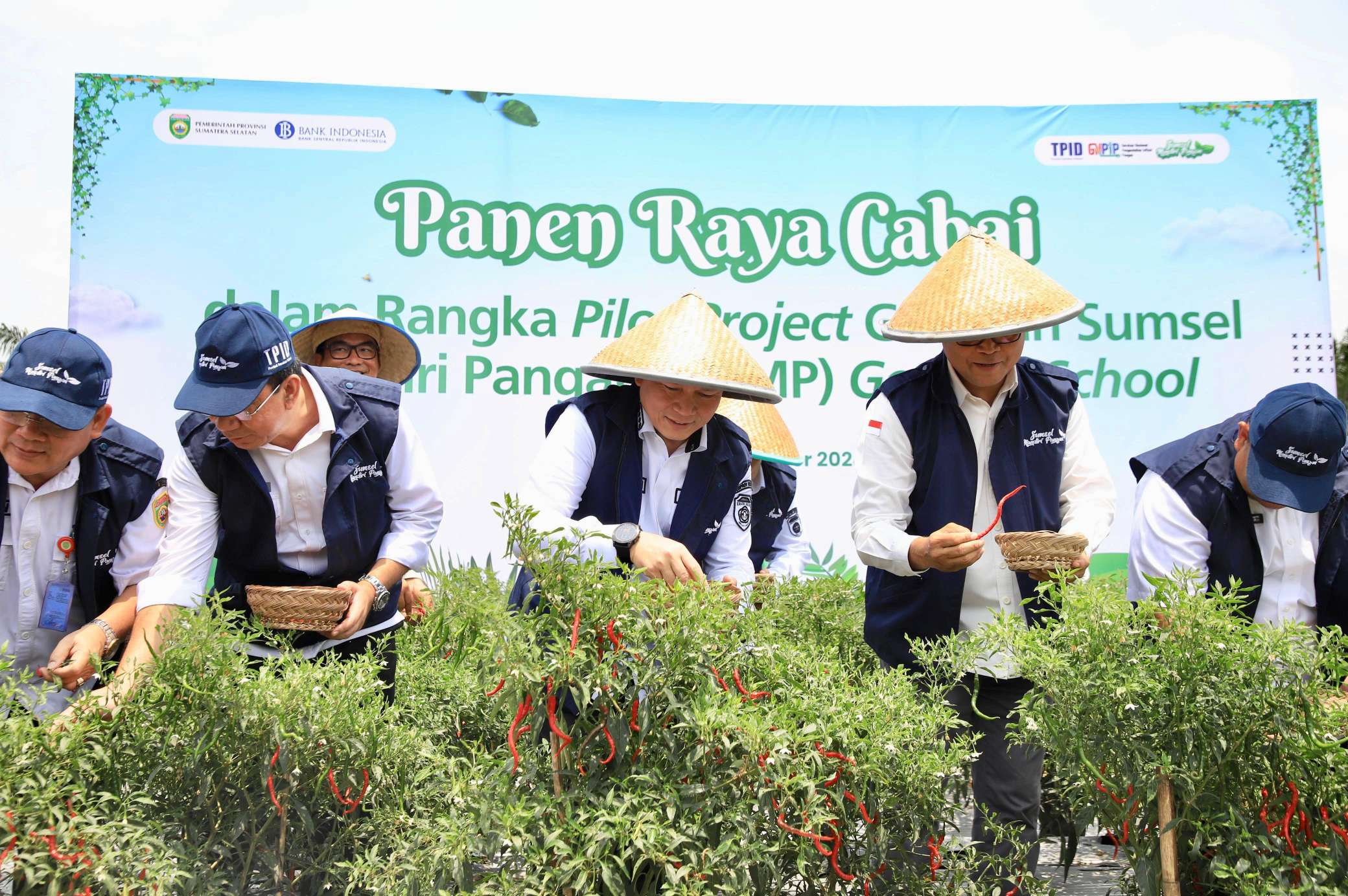 Pj Gubernur Bersama Kepala Perwakilan BI Sumsel Panen Raya Cabai di Lahan Pilot Project  SMKN 1 Gelumbang 