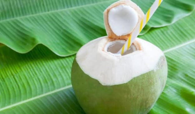 Manfaat Air Kelapa Bagi Kesehatan, Bisa Turunkan Tekanan Darah hingga Bantu Memanajemen Gula Darah