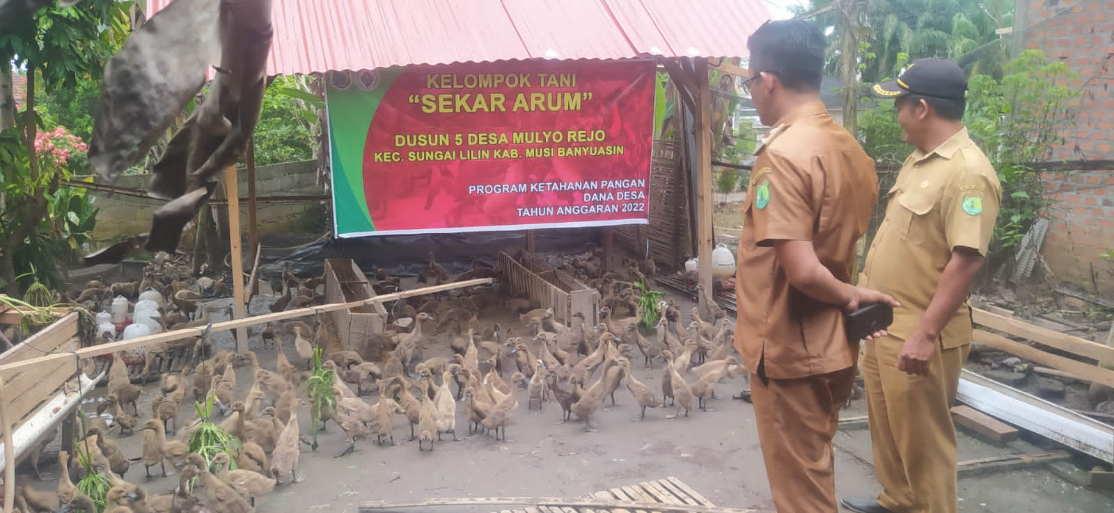 Pemdes Mulyo Rejo Bentuk Kelompok Peternak Bebek, Program Ketahanan Pangan Hewani