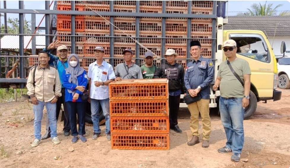 Ratusan Warga Terima Bantuan Ayam Kampung dan Pakan Ternak, Dari DPRD Banyuasin