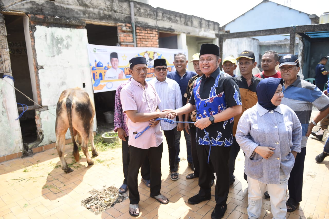 Berbagi di Hari Raya Idul Adha 1444 H, Gubernur Herman Deru Serahkan Sapi Qurban ke Sejumlah Masjid 