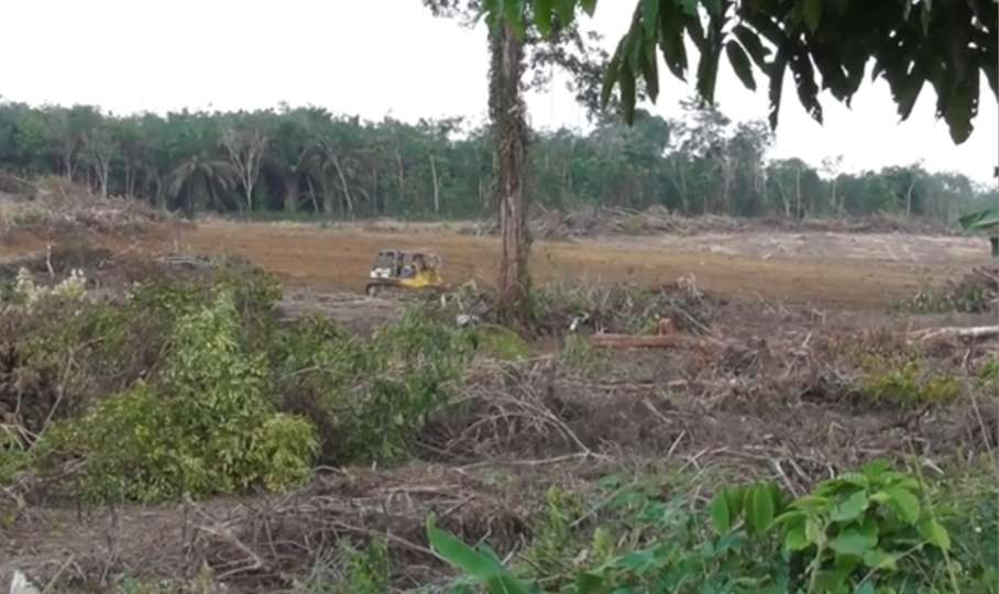 Pembangunan Tol Betung - Jambi Sudah Dimulai, Land Clearing Sudah Capai 5,1 Km