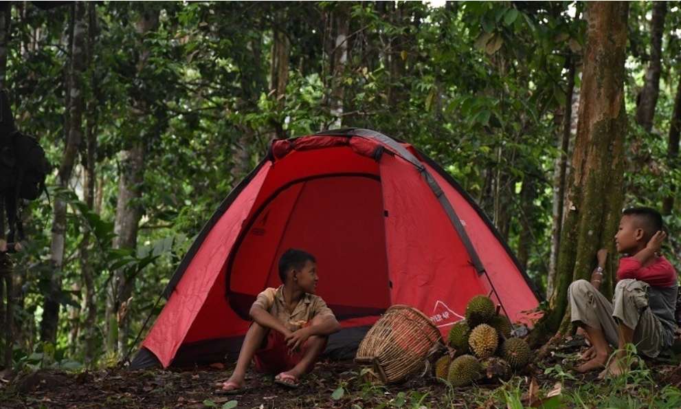 Ingin Wisata Camping Sambil Menunggu Durian Jatuh, Disini Lokasinya, Masih di Wilayah Sumsel