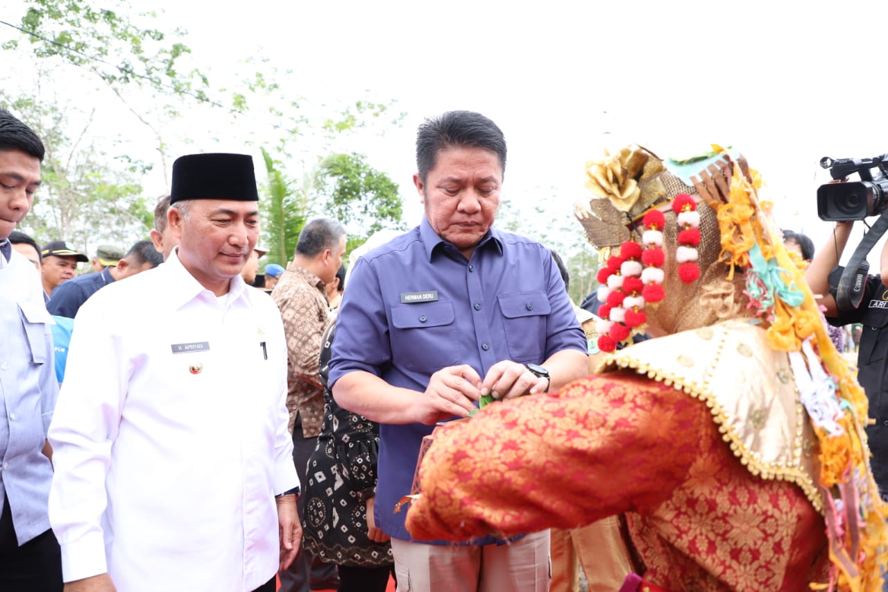 Setelah Puluhan Tahun, Akhirnya Desa di Muba Ini Menikmati Listrik, Diresmikan Pj Bupati dan Gubernur Sumsel 