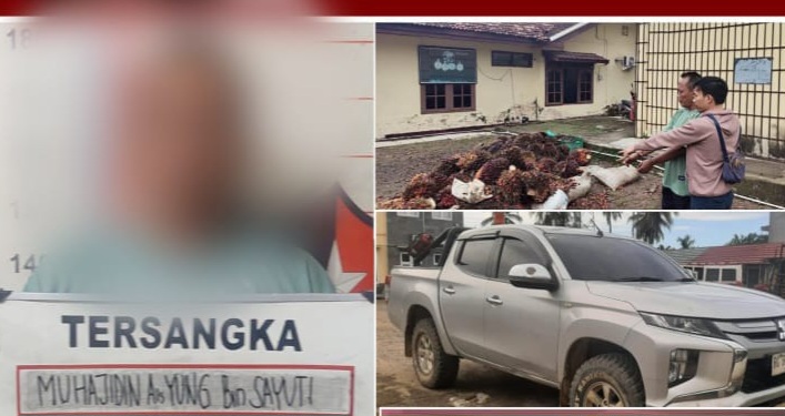 Polsek Sanga Desa dan Bayung Lencir Berhasil Ungkap Dua Kasus Pencurian Sawit di Muba