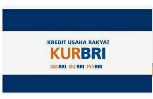 Mau Ajukan KUR di Bank BRI?  Berikut Panduan Agar Pinjaman Bisa Cair