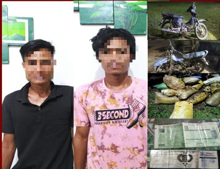 Polsek Lalan Tangkap Dua Pencuri Sawit, Satu Pelaku Masih Buron