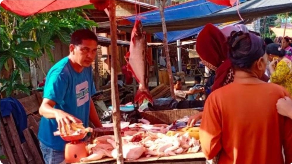 Dipenghujung Agustus Harga Ayam Potong di Sanga Desa Merangkak Naik