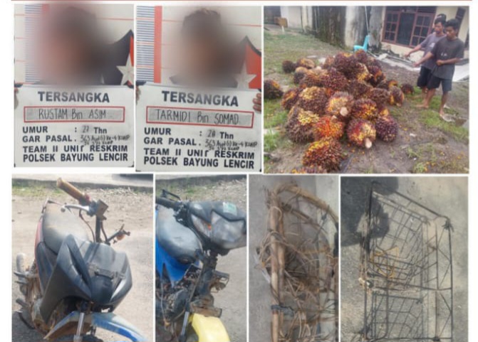 Dua Pelaku Curas Sawit di PT ITA Mogureben Diciduk Polsek Bayung Lencir, Dua Lainnya Masih DPO