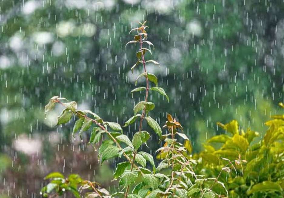 Hari Ini Muba Berpotensi Hujan, Berikut Prakiraan Cuaca Lengkap Provinsi Sumsel