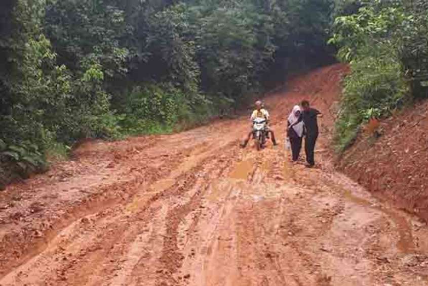 Akses Jalan Desa di Kabupaten Muba Ini Menyedihkan, Warga Berharap Perbaikan